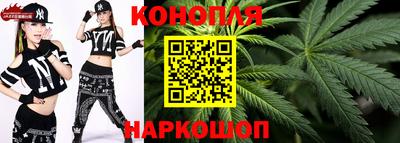 сатива Бузулук