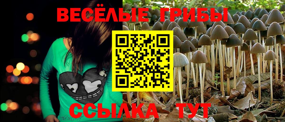 Псилоцибиновые грибы мицелий Славянск-на-Кубани