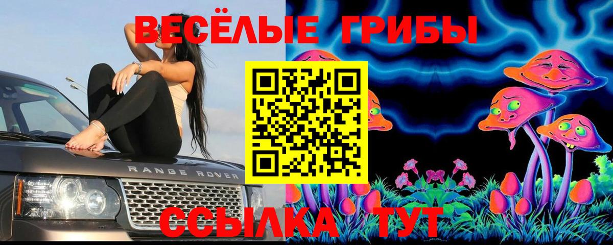 Славянск-на-Кубани  Псилоцибиновые грибы GOLDEN TEACHER  Вход с VPN  Псилоцибиновые грибы MAGIC MUSHROOMS 
